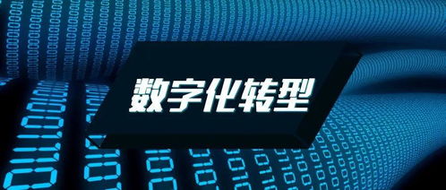 企業(yè)數(shù)字化轉(zhuǎn)型 勢(shì)在必行之路與Datatist的數(shù)字化賦能角色